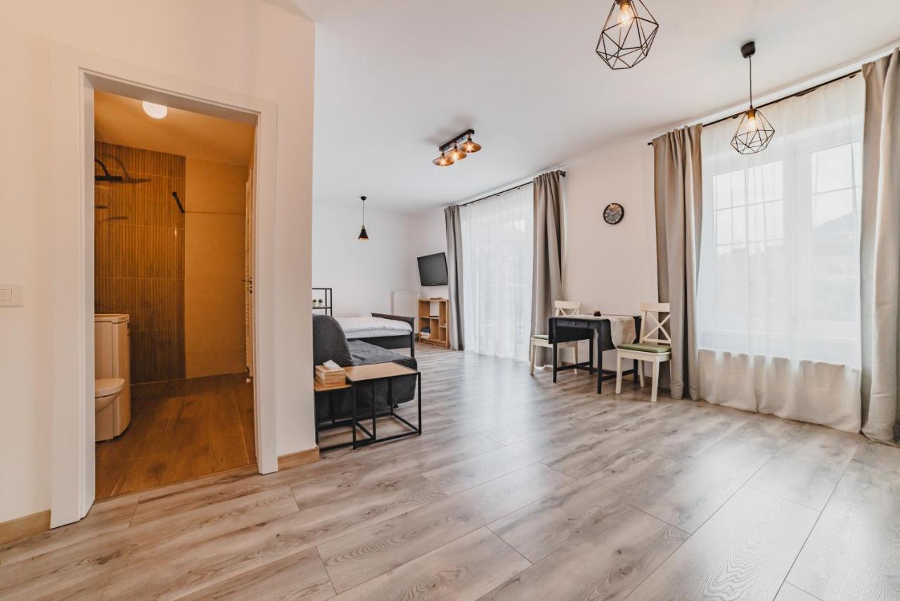 Schiller Studio 64 - Free Private Parking Braşov Exterior foto